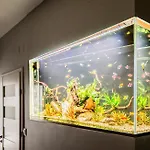 Appartement Wawabed